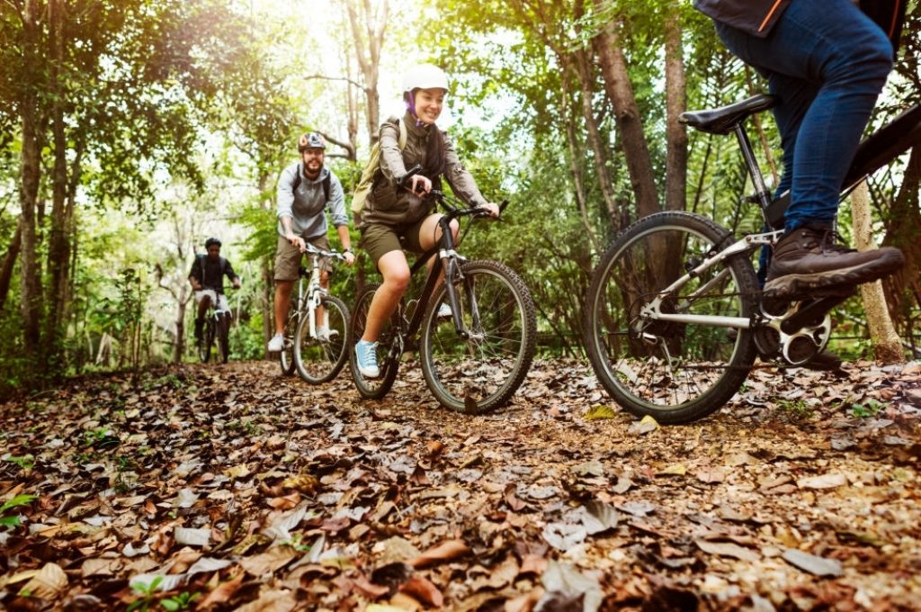 Group of friends ride mountain bike in the forest together